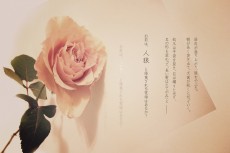 flower424watako_twi