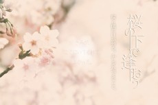 flower418-masumi_morikawa
