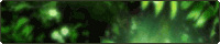 緑のバナー台（透過GIF）
