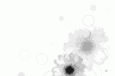 norepeat-flower023_4