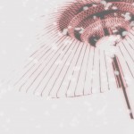 和傘と舞い散る花びら（2パターン）