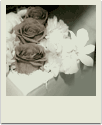 polaroid-flower018