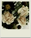polaroid-flower026