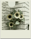 polaroid-flower035