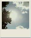 polaroid-sky014