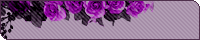 紫の薔薇の変型バナー台（透過GIF）