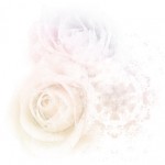 エレガントで淡い雰囲気の薔薇（4パターン）