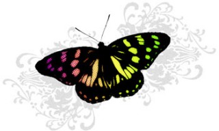鮮やかな蝶とボタニカル柄（8パターン）