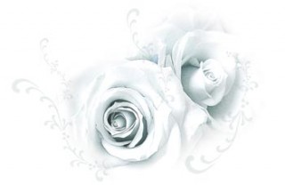 淡い色合いの薔薇（4パターン）