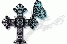 norepeat-butterfly012_3
