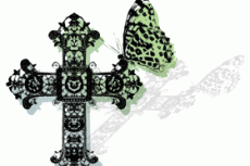 norepeat-butterfly012_4