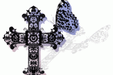 norepeat-butterfly012_5
