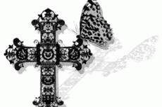 norepeat-butterfly012_6
