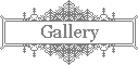 button002_gray_gallery