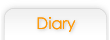 button012_orange_diary