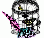repeat-butterfly010_4