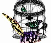 repeat-butterfly010_6