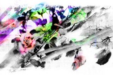norepeat-flower065_6