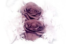薔薇の置物の写真素材（2パターン）
