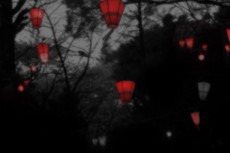 色のない森に灯る赤い提灯