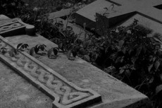 西洋風墓地の写真素材