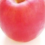 リンゴの写真素材
