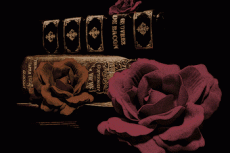 薔薇とアンティークな古書