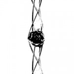 単色の薔薇（4パターン）