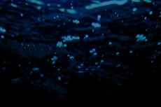 水中の水泡の写真素材