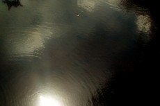 水に映る太陽の写真素材