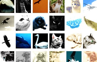 50*50ピクセルの生き物の写真（67個）