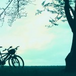 【高解像度】広い空と木陰に停まる2台の自転車（3パターン）