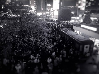 【高解像度】渋谷のスクランブル交差点とハチ公前の桜