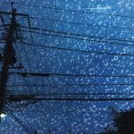 【高解像度】電柱と雨粒