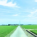 【高解像度】水田と一本道