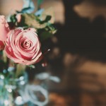 【高解像度】花瓶の薔薇と影（3パターン）
