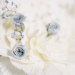 【高解像度】アンティークな雰囲気の青い薔薇（バラ）（3パターン）