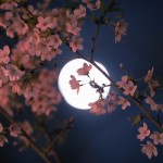 【高解像度】満月と夜桜（サクラ）（3パターン）