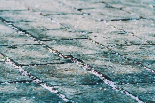 【高解像度】石畳に散る桜（サクラ）（3パターン）