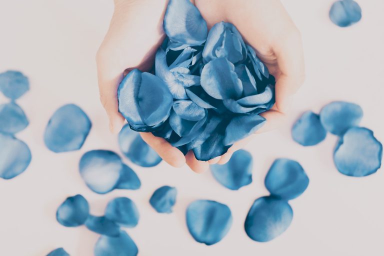 【高解像度】手から溢れる青い薔薇の花弁（バラ）（6パターン） NEO HIMEISM