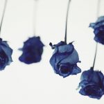 【高解像度】逆さの青い薔薇（バラ）（9パターン）